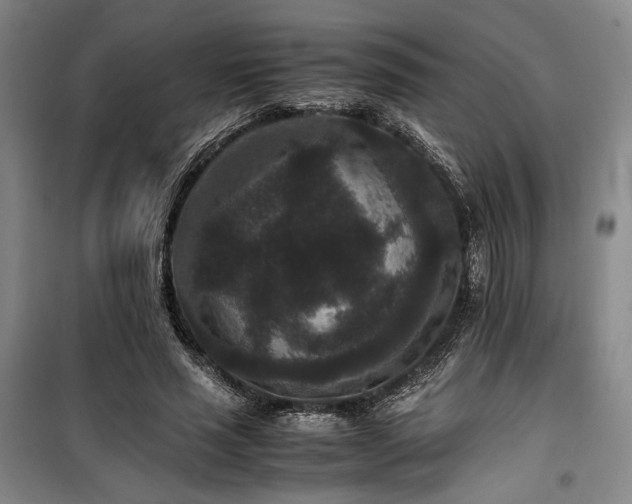 X0000100380637200806061219