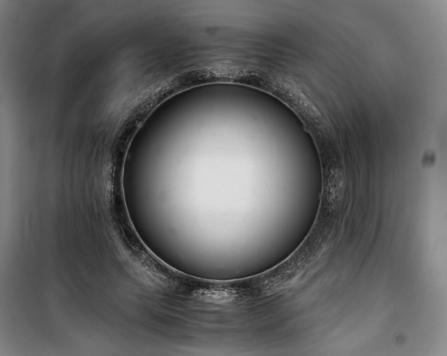 X0000100380639200806061219