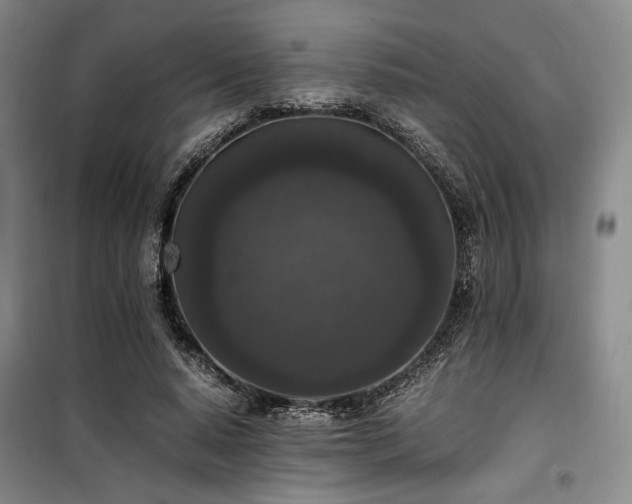 X0000100380640200806061219