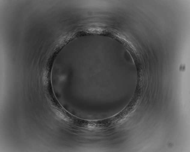 X0000100380641200806061219