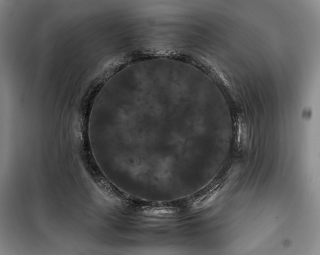 X0000100380643200806061219