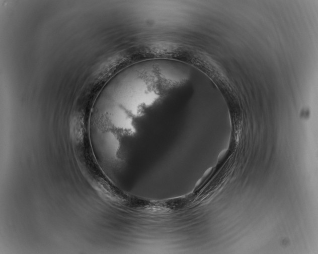 X0000100380644200806061219