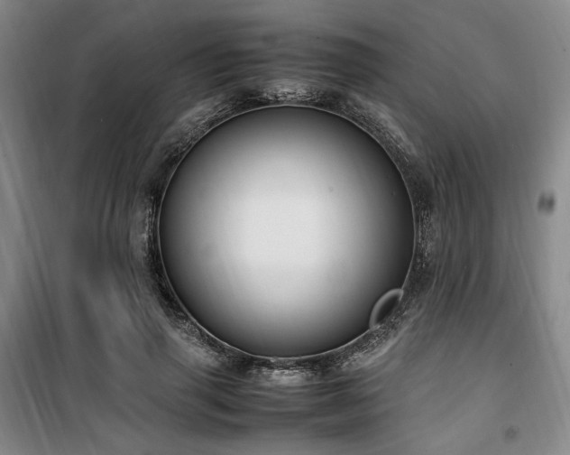 X0000100380645200806061219