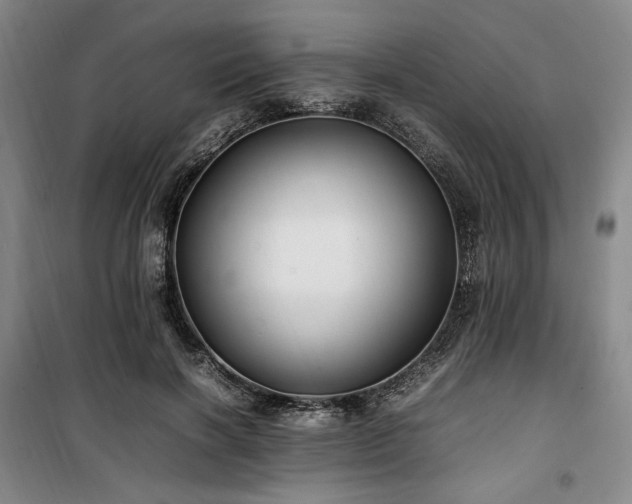 X0000100380646200806061219