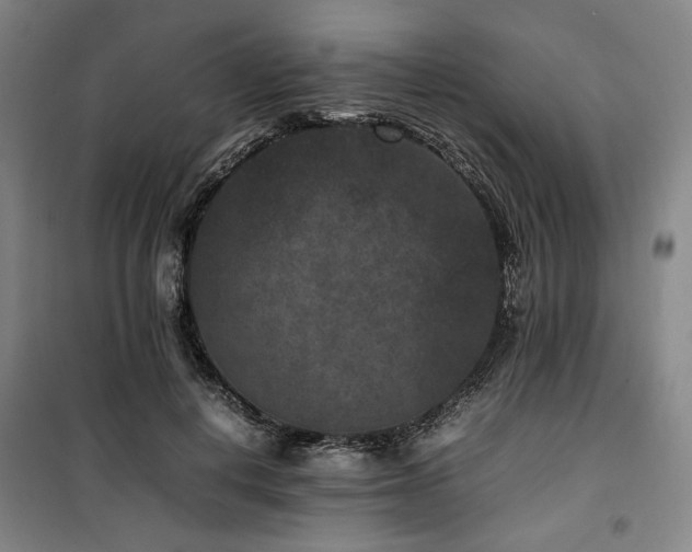 X0000100380648200806061219