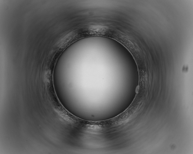 X0000100380649200806061219