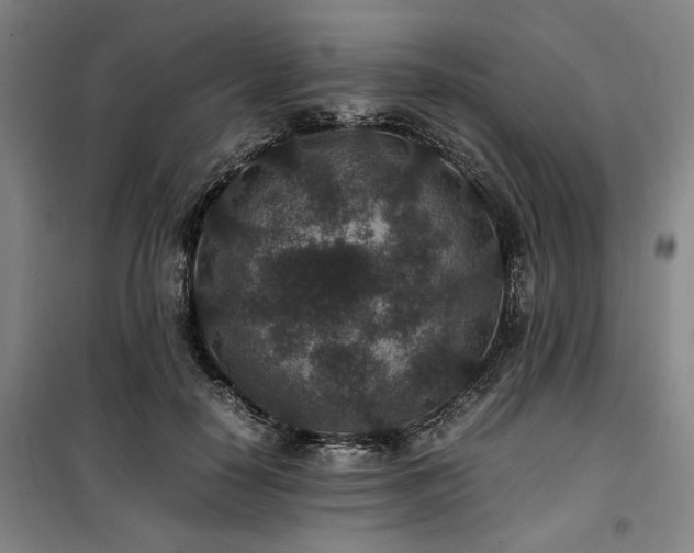 X0000100380650200806061219