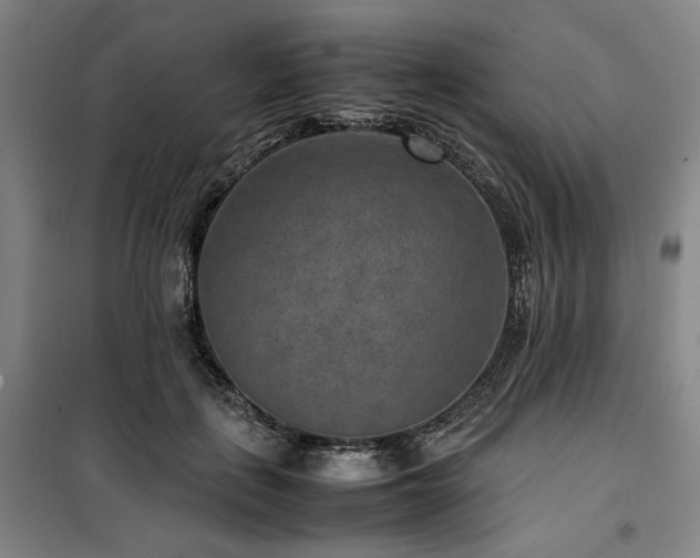 X0000100380651200806061219
