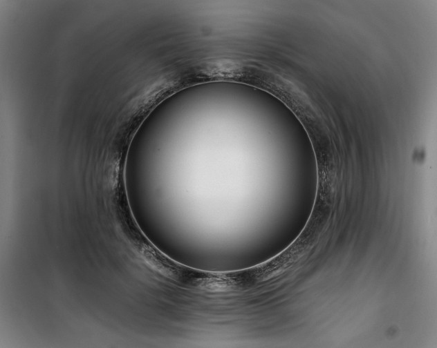 X0000100380652200806061219