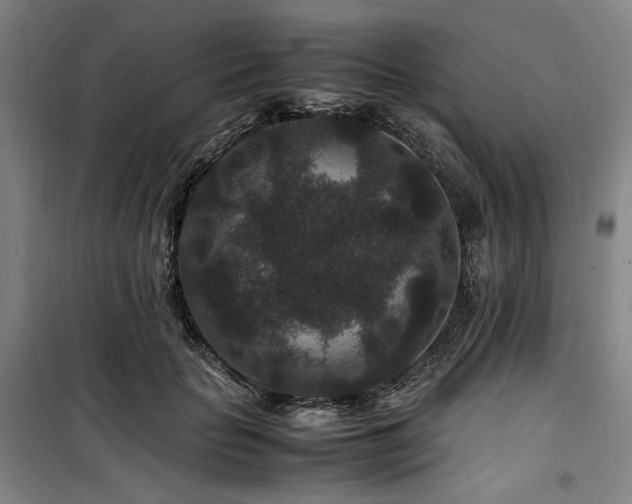 X0000100380653200806061219