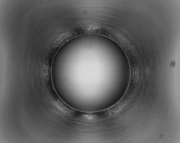 X0000100380654200806061219