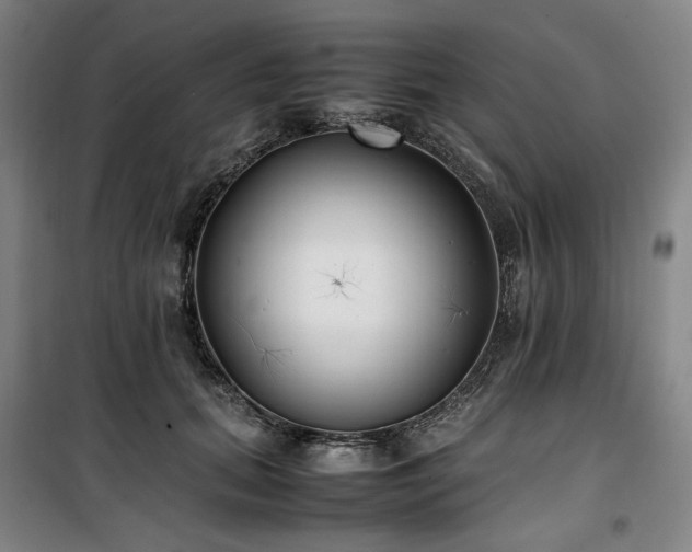 X0000100380655200806061220