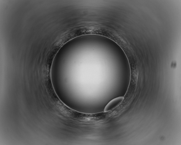 X0000100380657200806061220