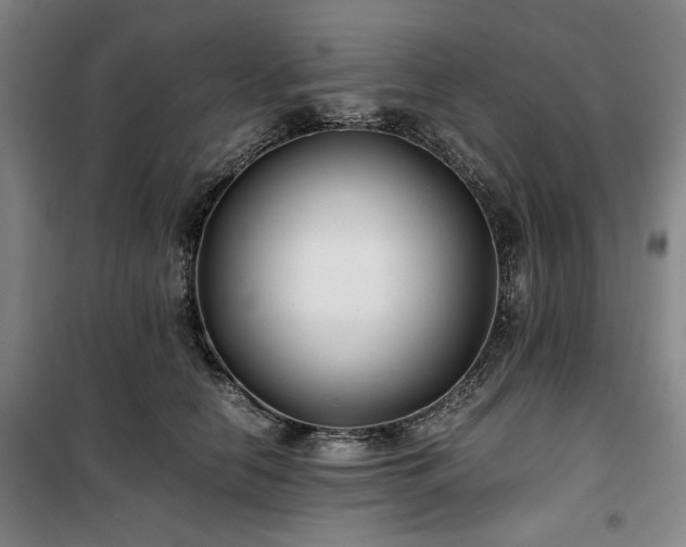 X0000100380658200806061220