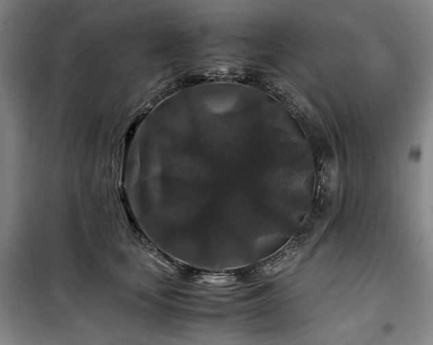 X0000100380659200806061220