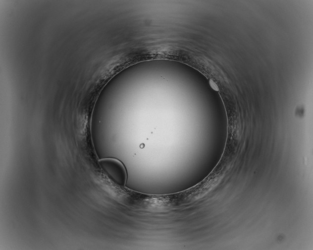 X0000100380660200806061220