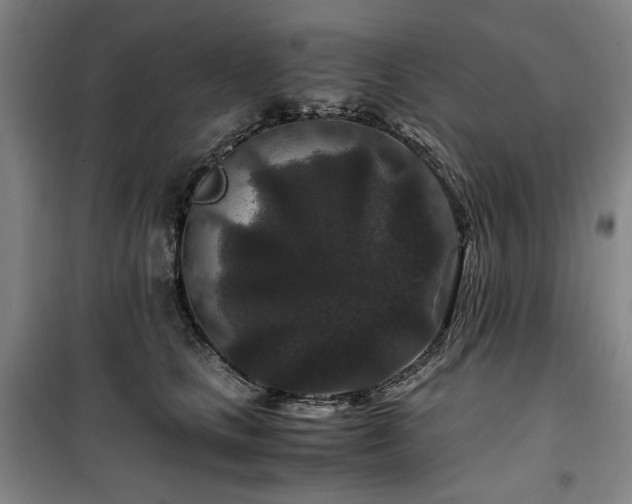X0000100380661200806061220