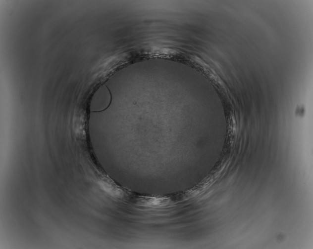 X0000100380663200806061220