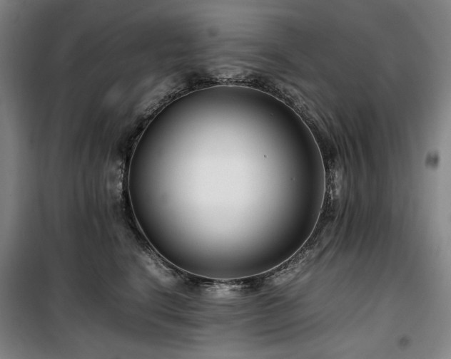 X0000100380664200806061220
