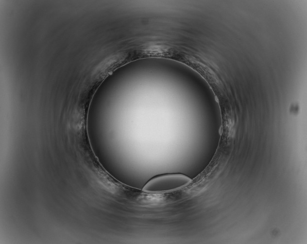 X0000100380665200806061220