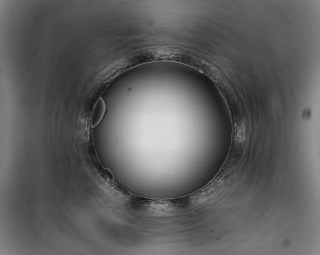 X0000100380666200806061220