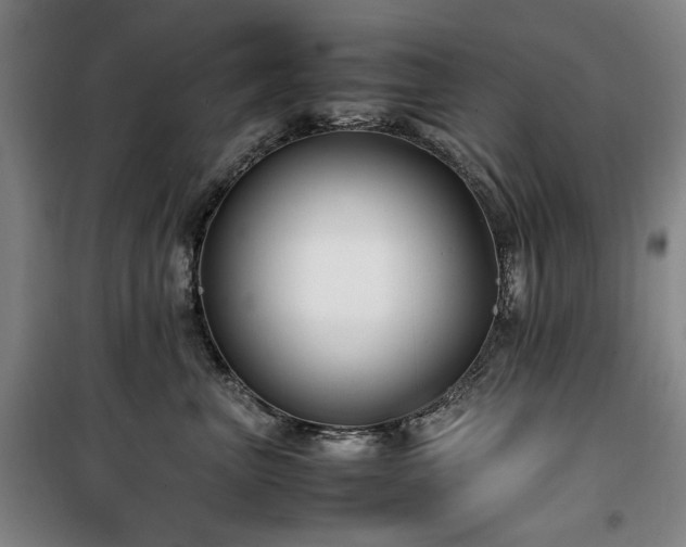 X0000100380667200806061220