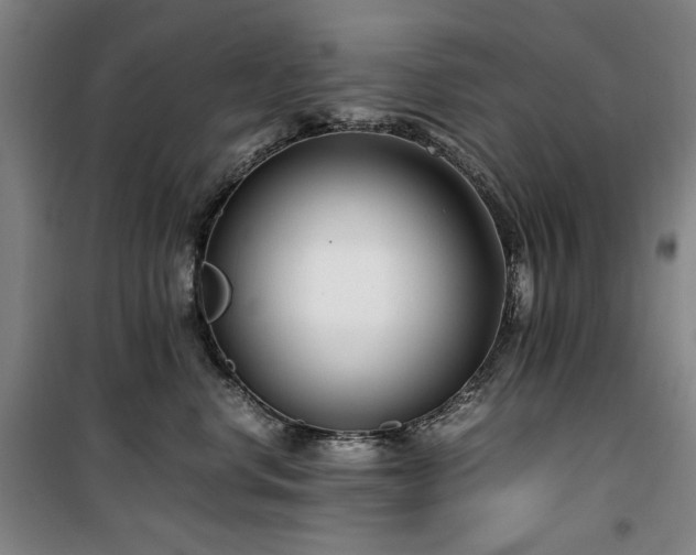 X0000100380668200806061220