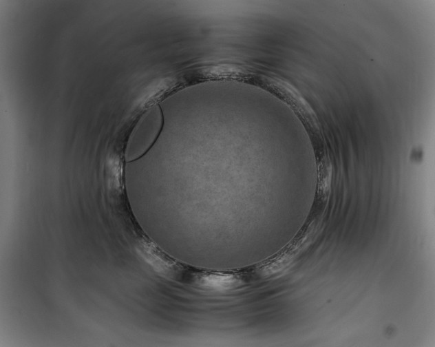 X0000100380669200806061220