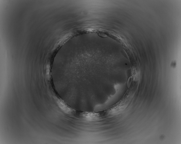 X0000100380670200806061220