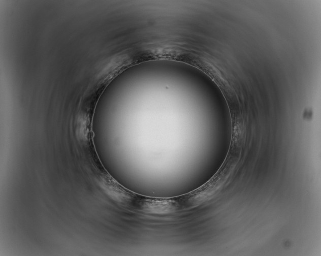 X0000100380671200806061220