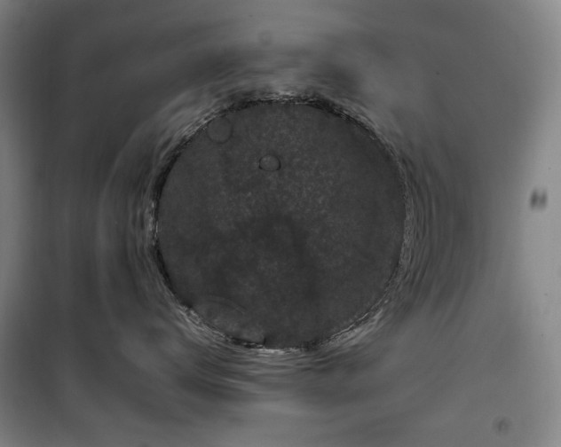 X0000100380672200806061220