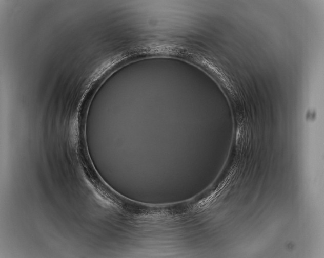 X0000100380674200806061219