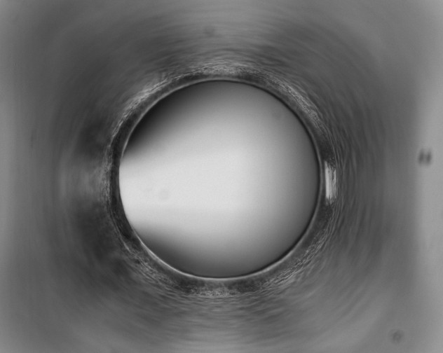 X0000100380675200806061219