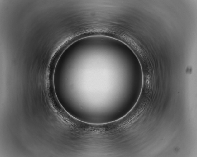 X0000100380676200806061219
