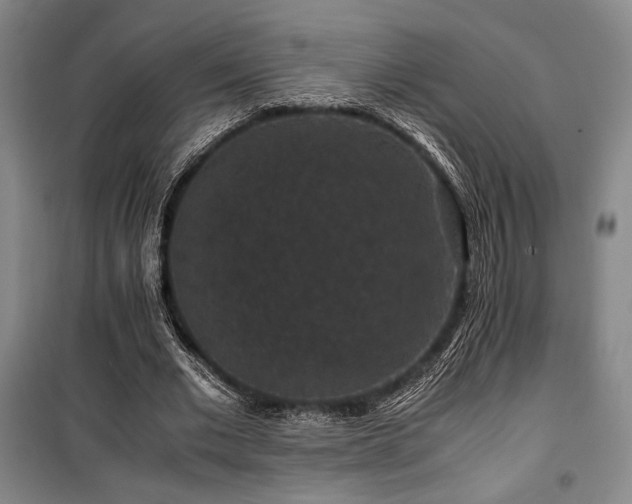 X0000100380677200806061219
