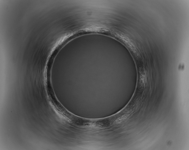 X0000100380678200806061219