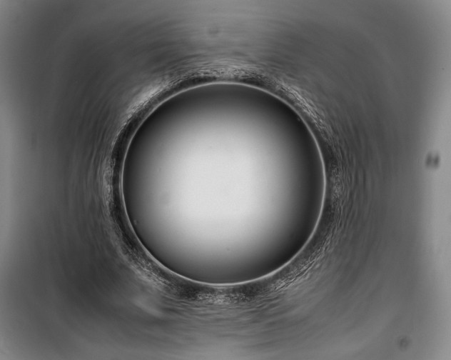 X0000100380679200806061219