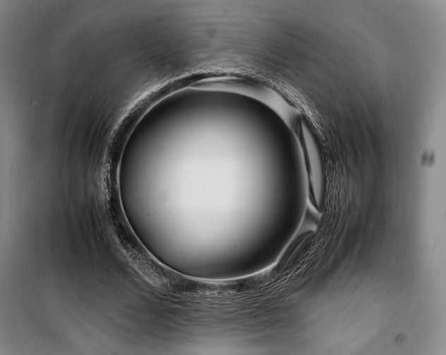 X0000100380680200806061219