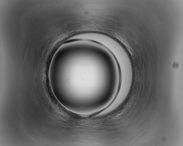 X0000100380681200806061219