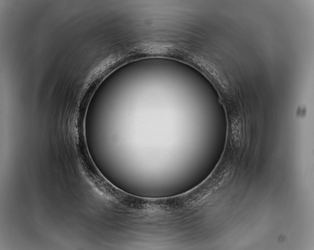 X0000100380682200806061219