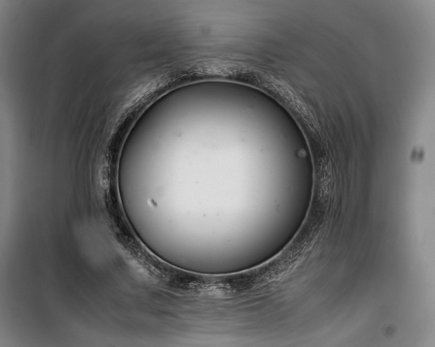 X0000100380683200806061219