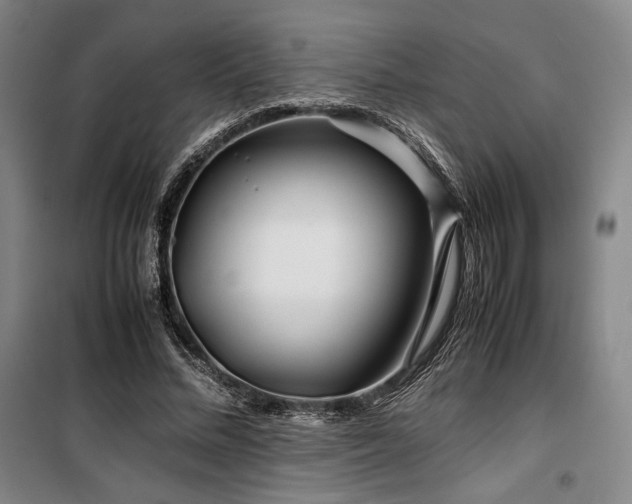 X0000100380684200806061219