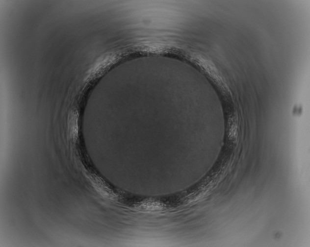 X0000100380685200806061219