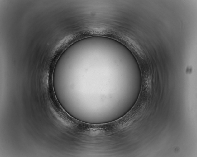 X0000100380686200806061219