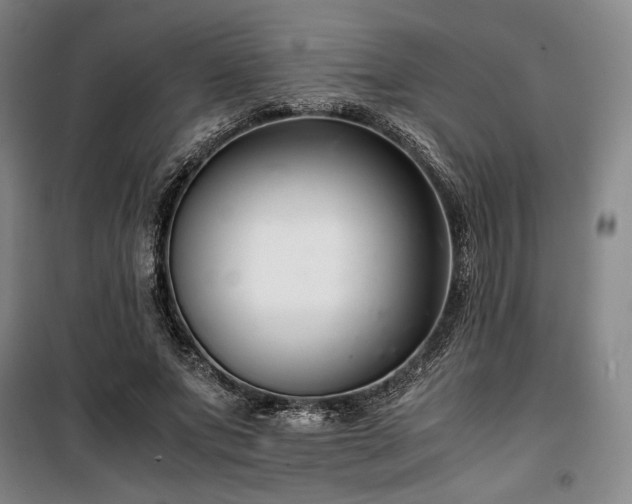 X0000100380687200806061219