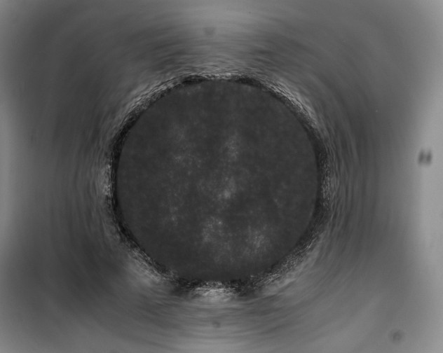 X0000100380689200806061219