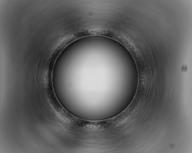 X0000100380690200806061219