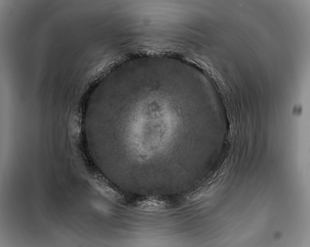 X0000100380691200806061219