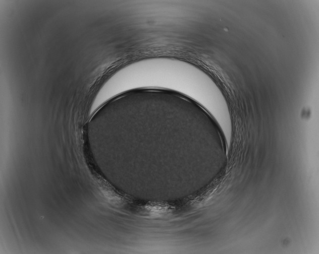 X0000100380693200806061219