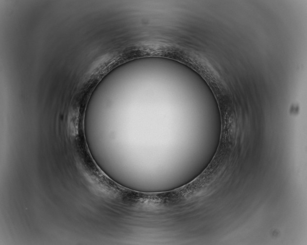 X0000100380694200806061219